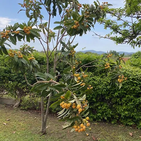 Con Grande Giardino Vicino Di Campus 빌라시미우스