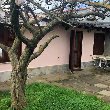 빌라 Con Grande Giardino Vicino Di Campus *